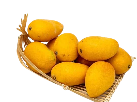 Alphonso Mango